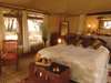 Larsen's Samburu - Tent2